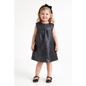 Baby Gap Toddler Girls Metallic Silver Black Party Dress Size 4 Years 151516